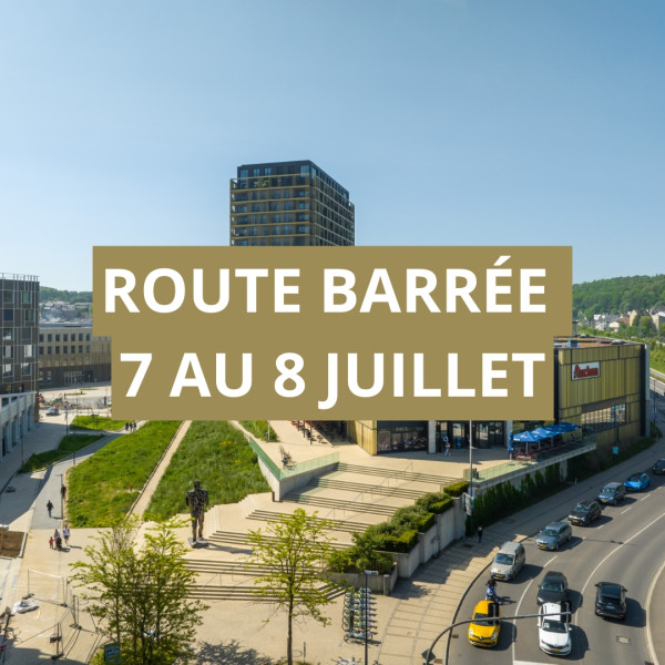 <strong>INFO - Accessibilit&eacute; parking</strong>